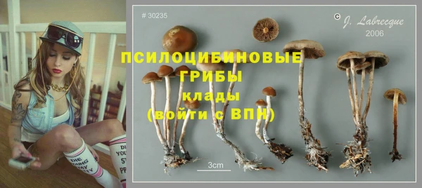 спиды Зеленокумск
