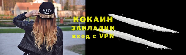 спиды Зеленокумск