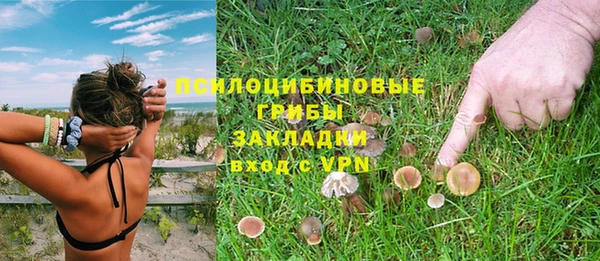 гидра Зерноград