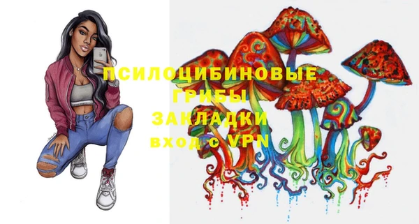спиды Зеленокумск