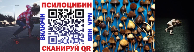 Галлюциногенные грибы Magic Shrooms  наркота  Зерноград 